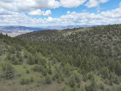 This Eastern Oregon Ranch is rich in heritage and natural beauty - photo 22