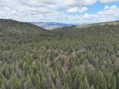 This Eastern Oregon Ranch is rich in heritage and natural beauty - photo 23