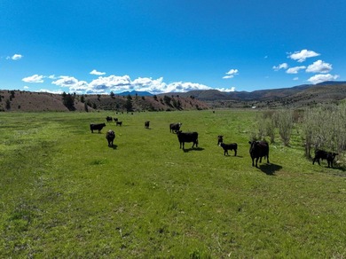 This Eastern Oregon Ranch is rich in heritage and natural beauty - photo 28