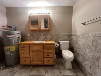 Charming lakefront 2 bedroom / 2 bath home in Cedar Bluff, AL - photo 29