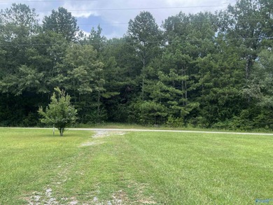 Charming lakefront 2 bedroom / 2 bath home in Cedar Bluff, AL - photo 45
