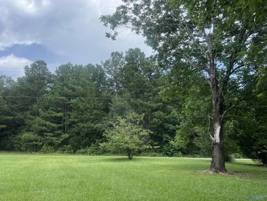 Charming lakefront 2 bedroom / 2 bath home in Cedar Bluff, AL - photo 46