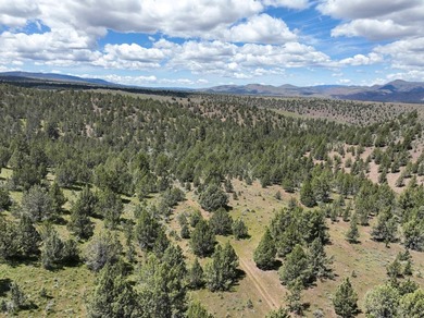 This Eastern Oregon Ranch is rich in heritage and natural beauty - photo 48