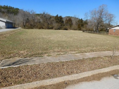 (private lake, pond, creek) Commercial For Sale in Jasper Arkansas