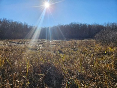 Escape to Nearly 40 Acres of Pure Northern Minnesota Wilderness! - photo 1