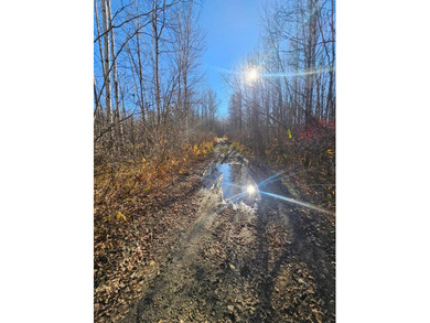 Escape to Nearly 40 Acres of Pure Northern Minnesota Wilderness! - photo 2