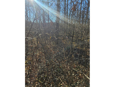 Escape to Nearly 40 Acres of Pure Northern Minnesota Wilderness! - photo 3