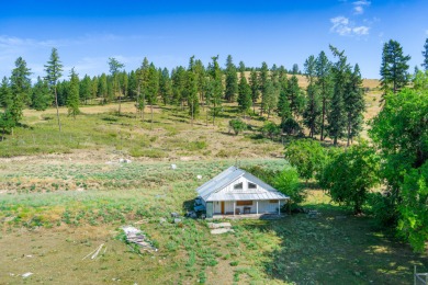 Lake Acreage For Sale in Rice, Washington