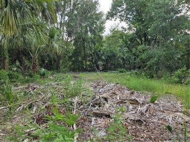Lake Lot For Sale in Dunnellon, Florida