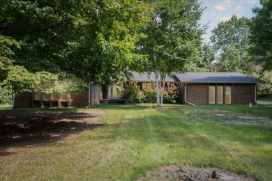 Lake Home ActiveUnderContr in Manchester, Michigan