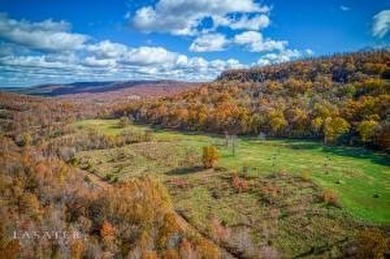 (private lake, pond, creek) Acreage For Sale in Harrison Arkansas