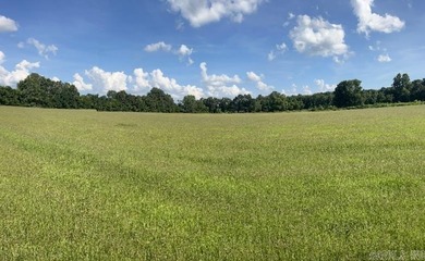 (private lake, pond, creek) Acreage For Sale in Piggott Arkansas