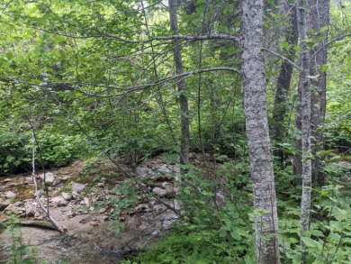Lake Acreage For Sale in Other, Washington