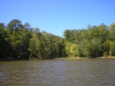 Lake Russell Lot For Sale in Abbeville South Carolina