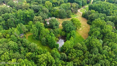 Opportunity awaits on this 3.1-acre property offering endless - photo 21