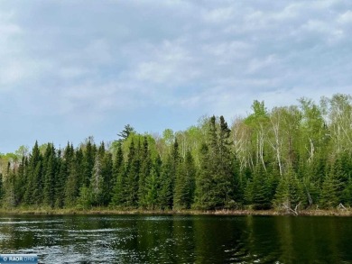 Elbow Lake Acreage For Sale in Orr Minnesota