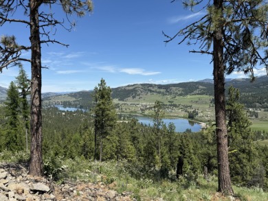 Lake Acreage For Sale in Republic, Washington