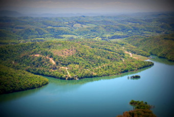 Norris Lake Lot For Sale in Maynardville Tennessee