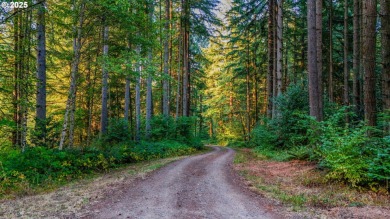 Lake Acreage For Sale in Woodland, Washington