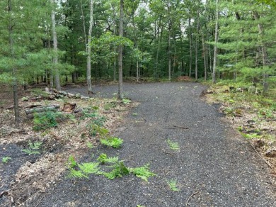 Big Star Lake Lot Sale Pending in Baldwin Michigan