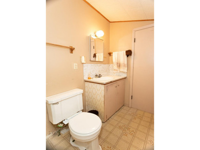 So many possibilities for this three bedroom, one bath vinyl - photo 22