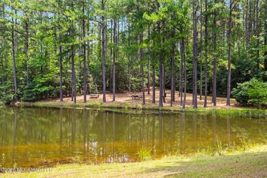 Welcome to Nola Pines! This unique property is tucked away on - photo 31