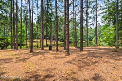 Welcome to Nola Pines! This unique property is tucked away on - photo 32