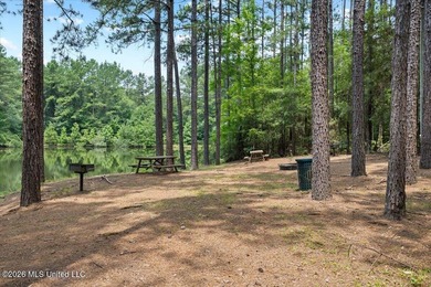 Welcome to Nola Pines! This unique property is tucked away on - photo 33