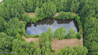 Welcome to Nola Pines! This unique property is tucked away on - photo 36