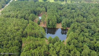 Welcome to Nola Pines! This unique property is tucked away on - photo 37
