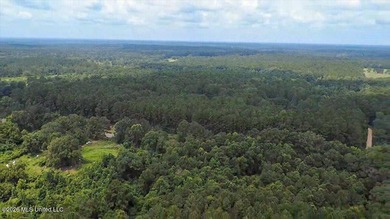Welcome to Nola Pines! This unique property is tucked away on - photo 38