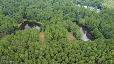 Welcome to Nola Pines! This unique property is tucked away on - photo 39