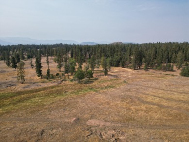Lake Acreage For Sale in Valley, Washington