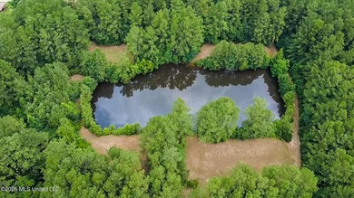 Welcome to Nola Pines! This unique property is tucked away on - photo 42