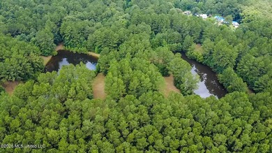 Welcome to Nola Pines! This unique property is tucked away on - photo 43