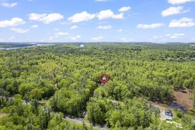 Extensively upgraded since new Contemporary Colonial on a quiet - photo 53