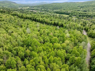 What beautiful views from this one! Come choose your parcel in - photo 8