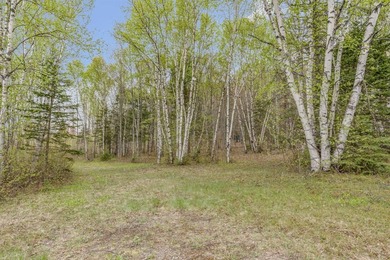 Plus de 188 000 pi2 repartis sur trois lots distincts, offrant - photo 28