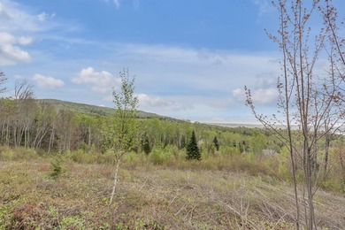 Plus de 188 000 pi2 repartis sur trois lots distincts, offrant - photo 35
