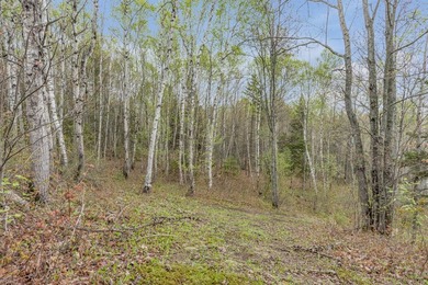 Plus de 188 000 pi2 repartis sur trois lots distincts, offrant - photo 37