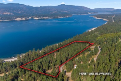 Lake Acreage For Sale in Kettle Falls, Washington