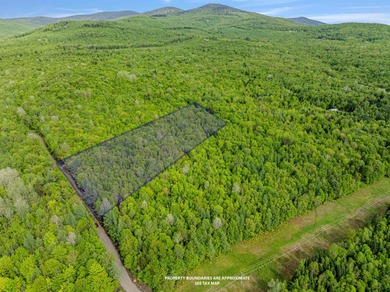 Connecticut River Acreage For Sale in Columbia New Hampshire