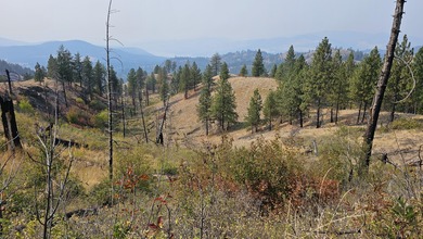 Lake Roosevelt Acreage For Sale in Fruitland Washington