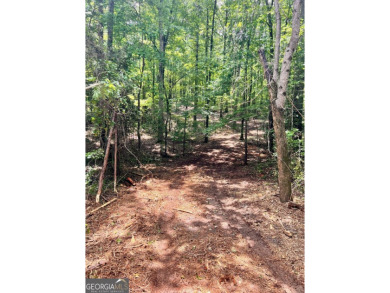 Lake Lot For Sale in Lagrange, Georgia