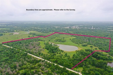 Rare find in the city limits of Wortham TX! - 47.78 spectacular - photo 1