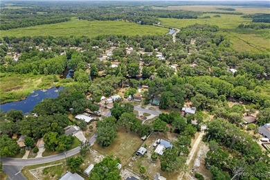 Tsala Apopka Chain of Lakes Lot For Sale in Floral City Florida
