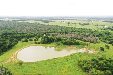 Rare find in the city limits of Wortham TX! - 47.78 spectacular - photo 2