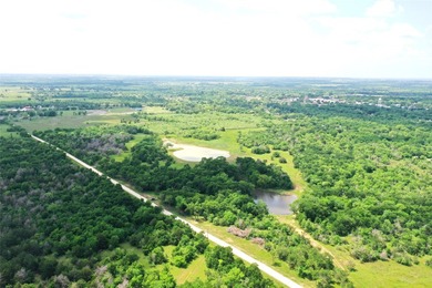 Rare find in the city limits of Wortham TX! - 47.78 spectacular - photo 3
