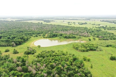 Rare find in the city limits of Wortham TX! - 47.78 spectacular - photo 4