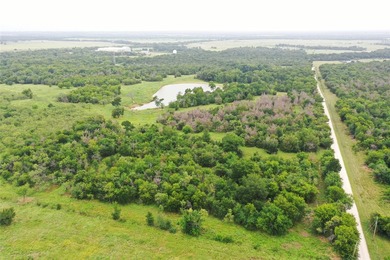 Rare find in the city limits of Wortham TX! - 47.78 spectacular - photo 5